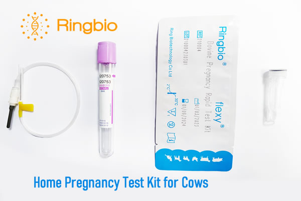 Home pregnancy test kit for cows